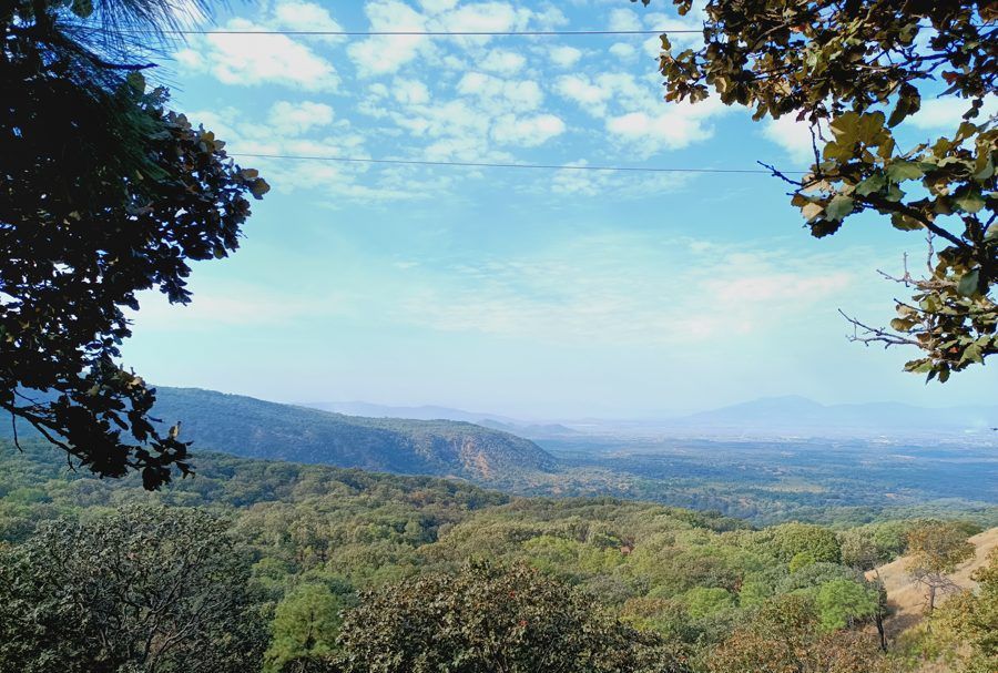 Vista de un valle con bosque y montañas